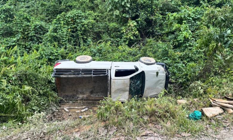 Dua pekerja ladang maut dihempap pikap