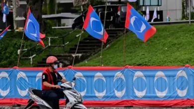 PKR’s Johor seat claims a negotiation ploy, says analyst