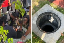 Bayi setahun maut, lapan cedera dalam nahas 4 kenderaan di Plaza Tol Bukit Kajang