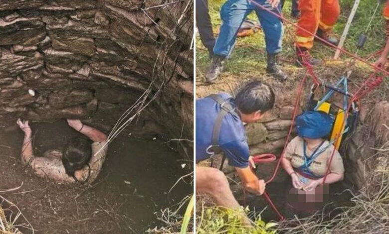 Sudahlah 2 hari dalam telaga, dipatuk ular pula!