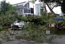 Hujan dan angin kencang sebabkan pokok tumbang, banjir di ibu kota