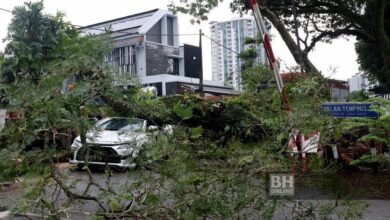 Hujan dan angin kencang sebabkan pokok tumbang, banjir di ibu kota
