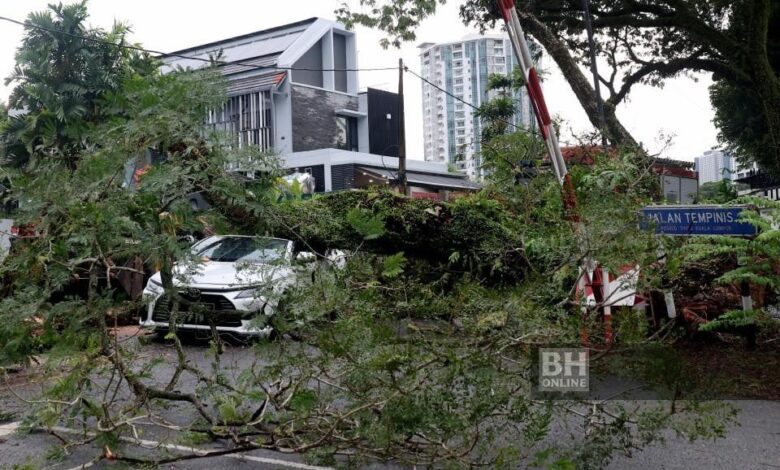 Hujan dan angin kencang sebabkan pokok tumbang, banjir di ibu kota