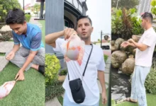 Gelagat Aliff Syukri & Ammar Tangkap Ikan Talapia Di Halaman Rumah [VIDEO]