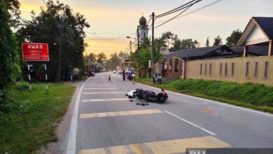 Jurutera maut langgar babi depan masjid