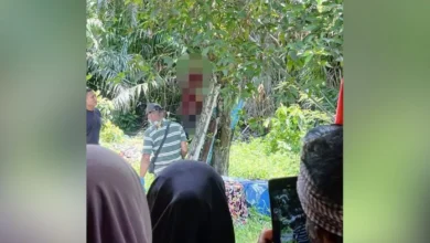 Lelaki maut tergantung atas pokok