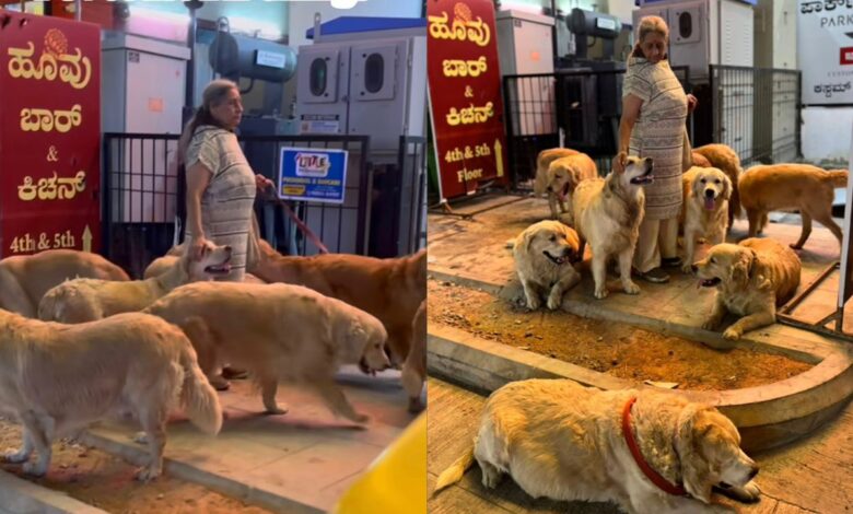 Wanita bawa 28 anjing bersiar-siar