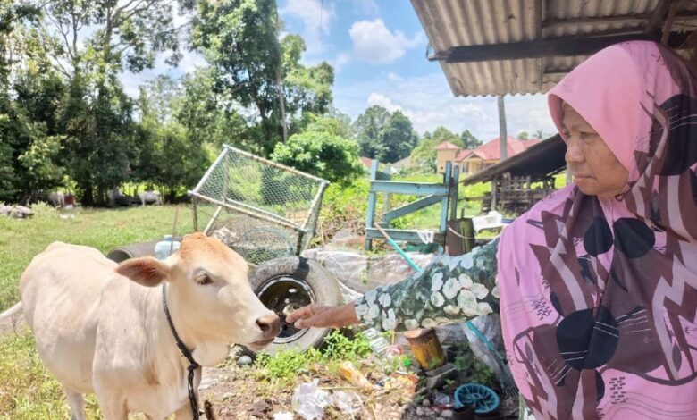 'Minggu lalu, sekali lagi dia datang dalam mimpi, bersandar pada bot sambil tersenyum' - Che Bunga