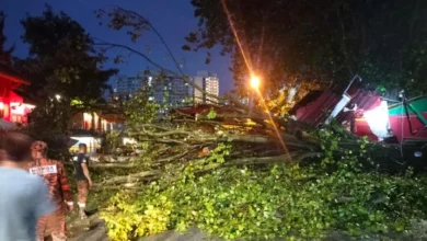 5 kenderaan dihempap pokok tumbang awal pagi
