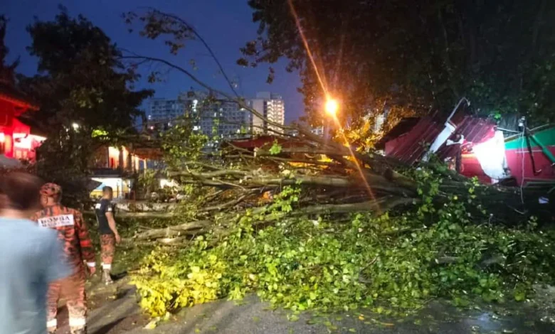 5 kenderaan dihempap pokok tumbang awal pagi