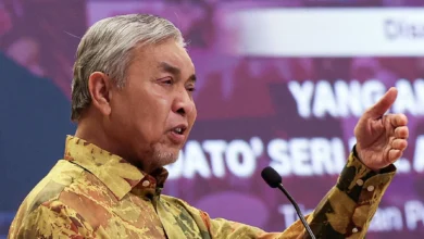 Zahid thanks Turkiye, Erdogan for securing safe return of 23 GSF volunteers