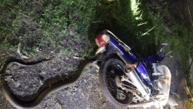 Remaja terjun motosikal elak 'King Cobra'