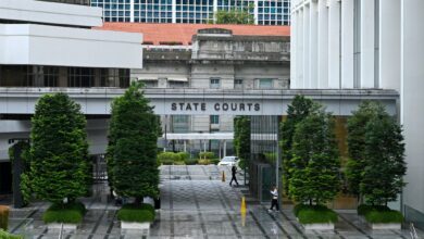 Lelaki guna dron hantar dadah ke Singapura dari Malaysia dijel 28 tahun