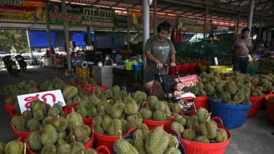 Bau durian disangka gas bocor, sampai terpaksa panggil bomba