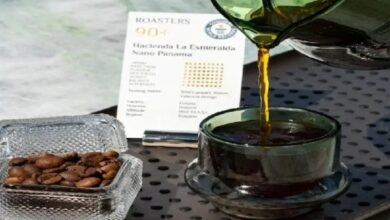 Kopi paling mahal di dunia dijual hampir RM3,000 secawan