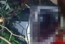 Ustaz dihempap pokok ketika balik kerja