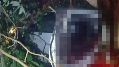 Ustaz dihempap pokok ketika balik kerja