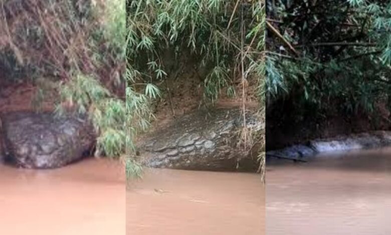 Batu ‘kepala ular’ ditemukan di sungai