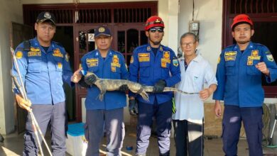 Seminggu dihantui bunyi misteri, akhirnya punca terungkai