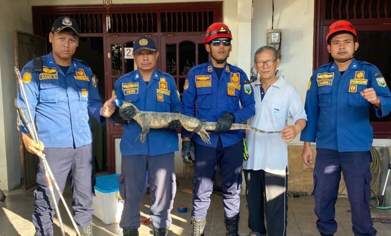 Seminggu dihantui bunyi misteri, akhirnya punca terungkai