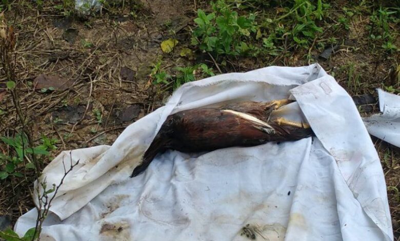 Kecoh kain kafan di tanah kubur didakwa berisi bayi