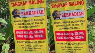 Pertandingan tangkap pencuri tawar hadiah wang tunai