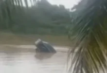 Kereta terjunam dalam sungai, jumlah mangsa belum diketahui - Bomba
