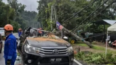 Hujan lebat, angin kuat punca pokok tumbang hempap 4x4 di Batang Kali