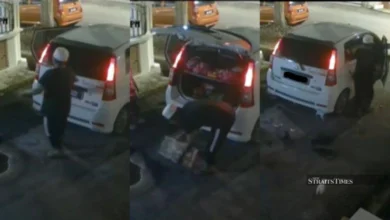 Man caught on camera 'heartlessly' abandoning kittens, police report lodged