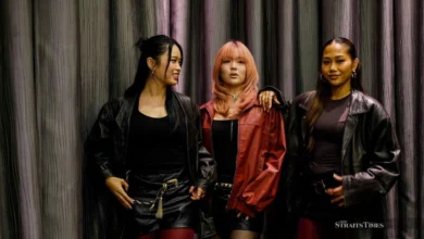 Minister thanks Universal Music Malaysia for taking down Dolla music video