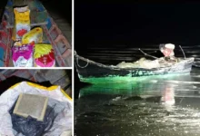 Dadah bunga ganja lebih RM6.2 juta ditemui ditinggalkan dalam sampan kayu