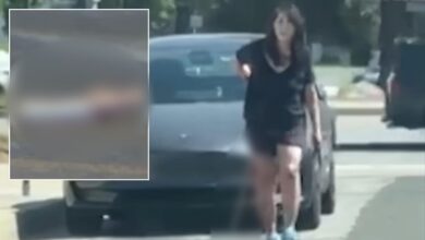 Wanita ambil nyawa ‘isteri’ dipenjara 37 tahun