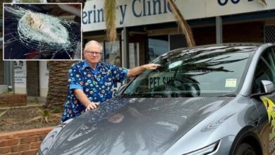 Doktor kena langgar tahi bintang semasa pandu Tesla