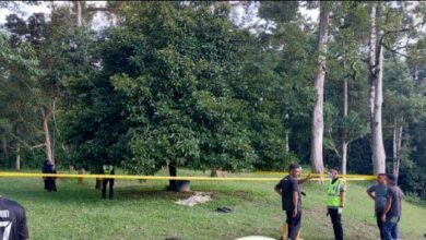 Lelaki maut jatuh traktor ketika buat kerja kebun