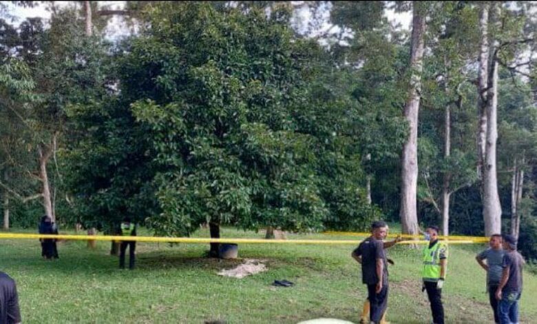 Lelaki maut jatuh traktor ketika buat kerja kebun