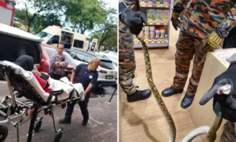 Pekerja farmasi digigit ular sawa ketika guna tandas