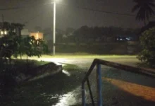 Suami isteri nyaris langgar buaya melintang jalan