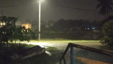 Suami isteri nyaris langgar buaya melintang jalan