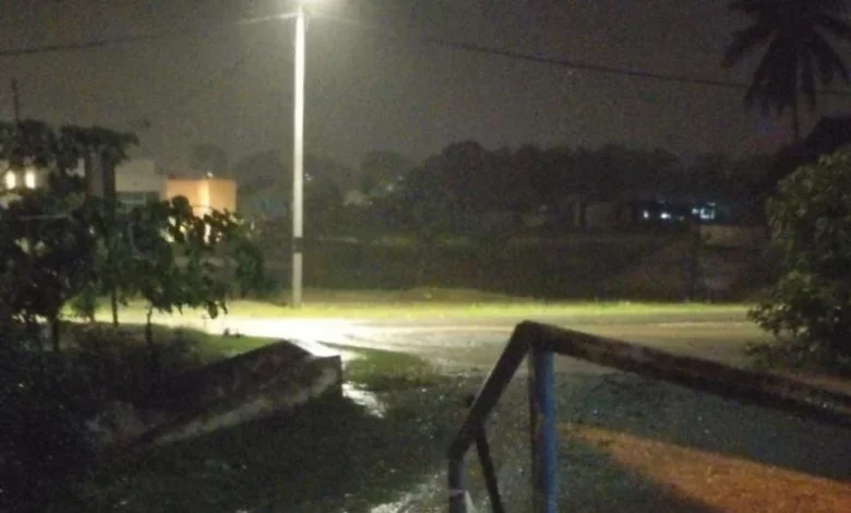 Suami isteri nyaris langgar buaya melintang jalan