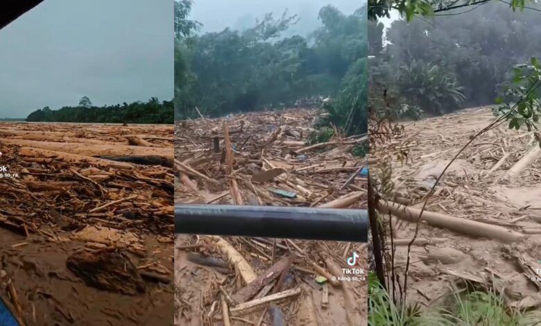 Penduduk ketakutan, banjir lumpur bawa beribu-ribu balak