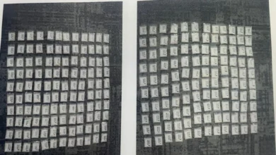 Lelaki warga China disyaki cuba seludup hampir 7kg ketamin di KLIA2