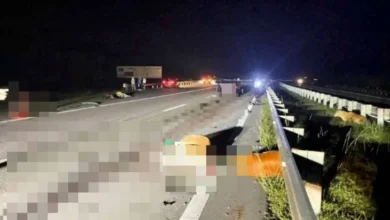 Pesara pensyarah cedera kereta rempuh sekawan lembu melintas di LPT2