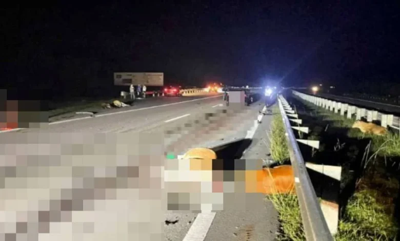 Pesara pensyarah cedera kereta rempuh sekawan lembu melintas di LPT2