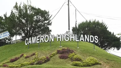 Pahang ready to study Cameron Highlands rail proposal, says MB