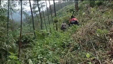 Bunyi misteri dari hutan resahkan penduduk