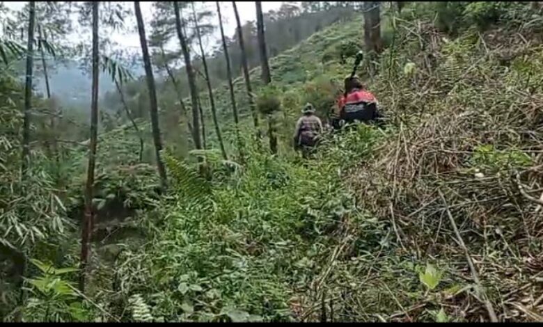 Bunyi misteri dari hutan resahkan penduduk