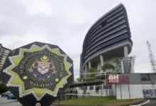 Seorang MP akan didakwa kes usaha sama ternakan lembu milik Kerajaan Kedah