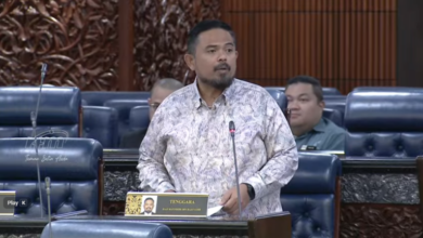 Tubuh Pusat Data Biometrik Nasional, Selaras Maklumat Antara Agensi Kerajaan