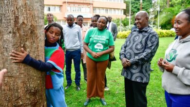 Aktivis nekad pecah rekod peluk pokok 72 jam