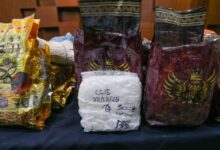 Lelaki tak sempat bawa dadah syabu bernilai RM2.4 juta sebelum ditahan polis di plaza tol